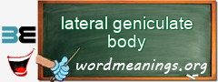 WordMeaning blackboard for lateral geniculate body